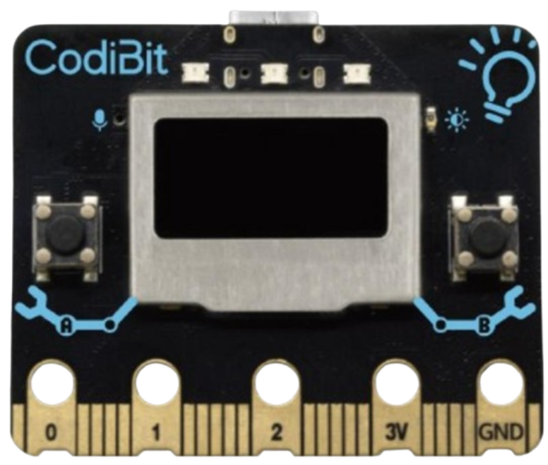 CodiBit board